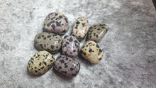 Load image into Gallery viewer, Dalmatian Jasper Tumbled Stone