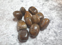 Load image into Gallery viewer, Petrified Wood Tumbled Stone