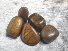 Load image into Gallery viewer, Petrified Wood Tumbled Stone