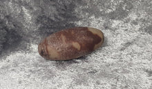 Load image into Gallery viewer, Shiva Lingam Stone
