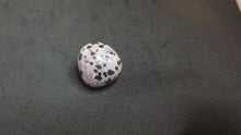 Load image into Gallery viewer, Dalmatian Jasper Tumbled Stone
