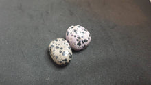 Load image into Gallery viewer, Dalmatian Jasper Tumbled Stone
