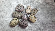 Load image into Gallery viewer, Dalmatian Jasper Tumbled Stone
