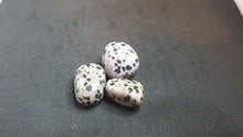 Load image into Gallery viewer, Dalmatian Jasper Tumbled Stone
