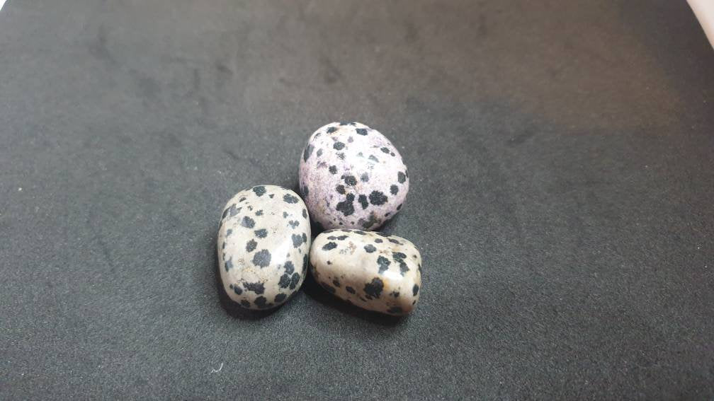 Dalmatian Jasper Tumbled Stone