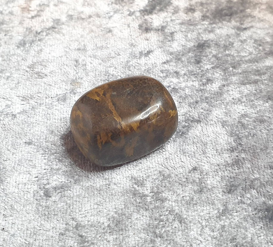 Petrified Wood Tumbled Stone