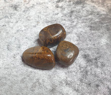 Load image into Gallery viewer, Petrified Wood Tumbled Stone
